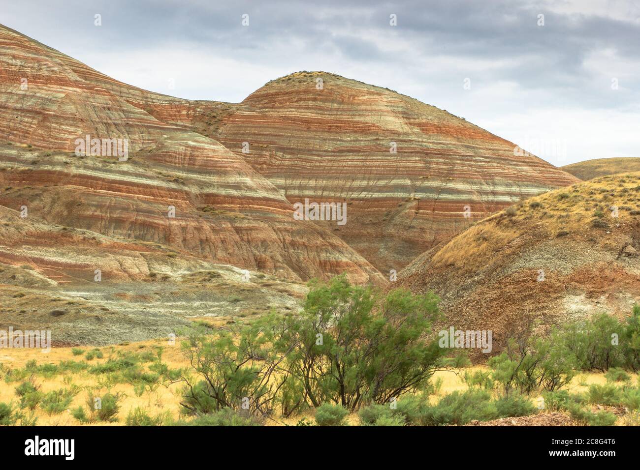 Cross-bedding in Candy Cane Mountains in Azerbaijan. Colorful stripes of the hills. Shale striped mountains. Candyland forest. Red-pink white stripes Stock Photo