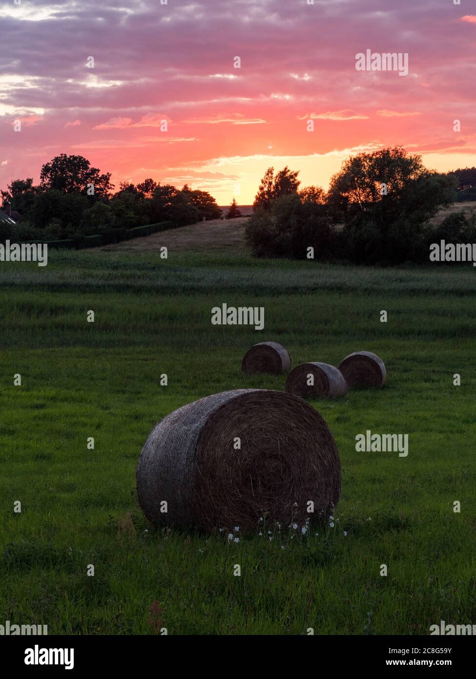 Sonnenuntergang Sonnenaufgang auf einem Getreidefeld auf der Insel Rügen mit einer Farm, Bäumen, Strohballen, roten Mohnblumen nach einem Gewitter Stock Photo