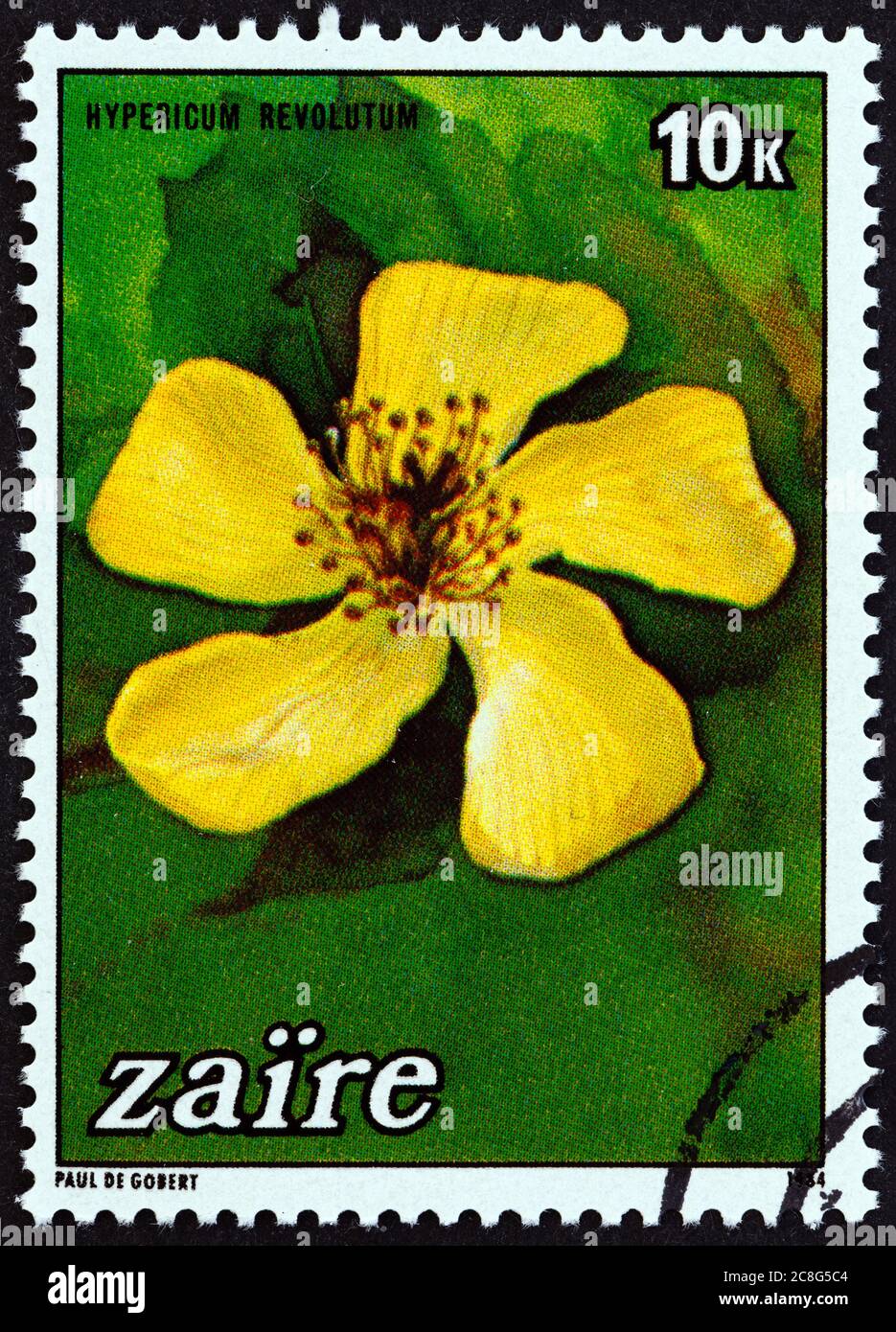 ZAIRE - CIRCA 1984: A stamp printed in Zaire from the 'Flowers' issue shows Hypericum revolutum, circa 1984. Stock Photo