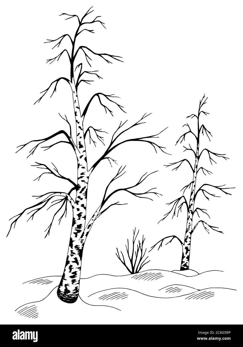 How To Draw A Birch Tree Step by Step Drawing Guide by Dawn  DragoArt