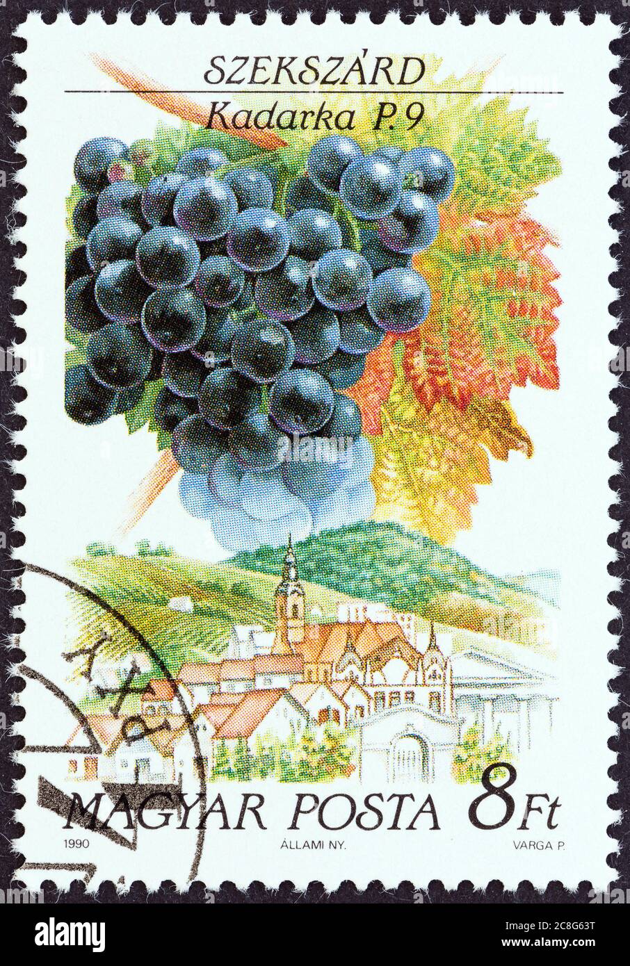 HUNGARY CIRCA 1990 A stamp printed in Hungary from the "Wine Grapes