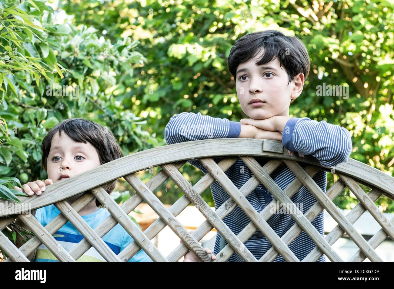 Portrait of two brown haired boys peering over garden fence Stock Photo