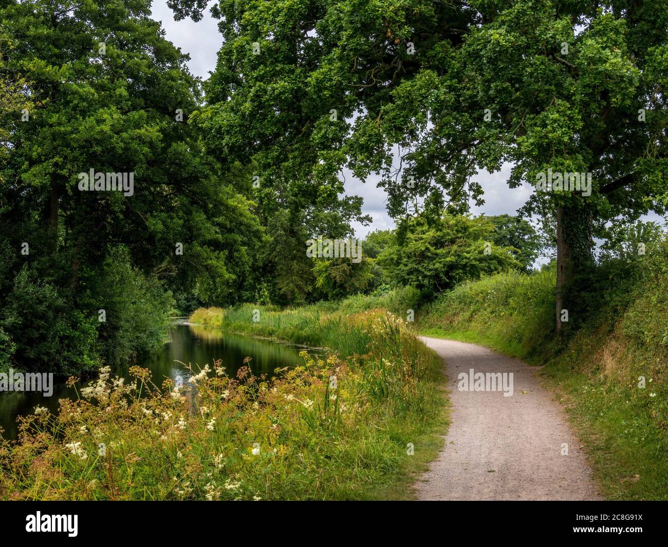 The towpath along the beautiful Grand Western Canal, Tiverton, Devon, UK. Stock Photo