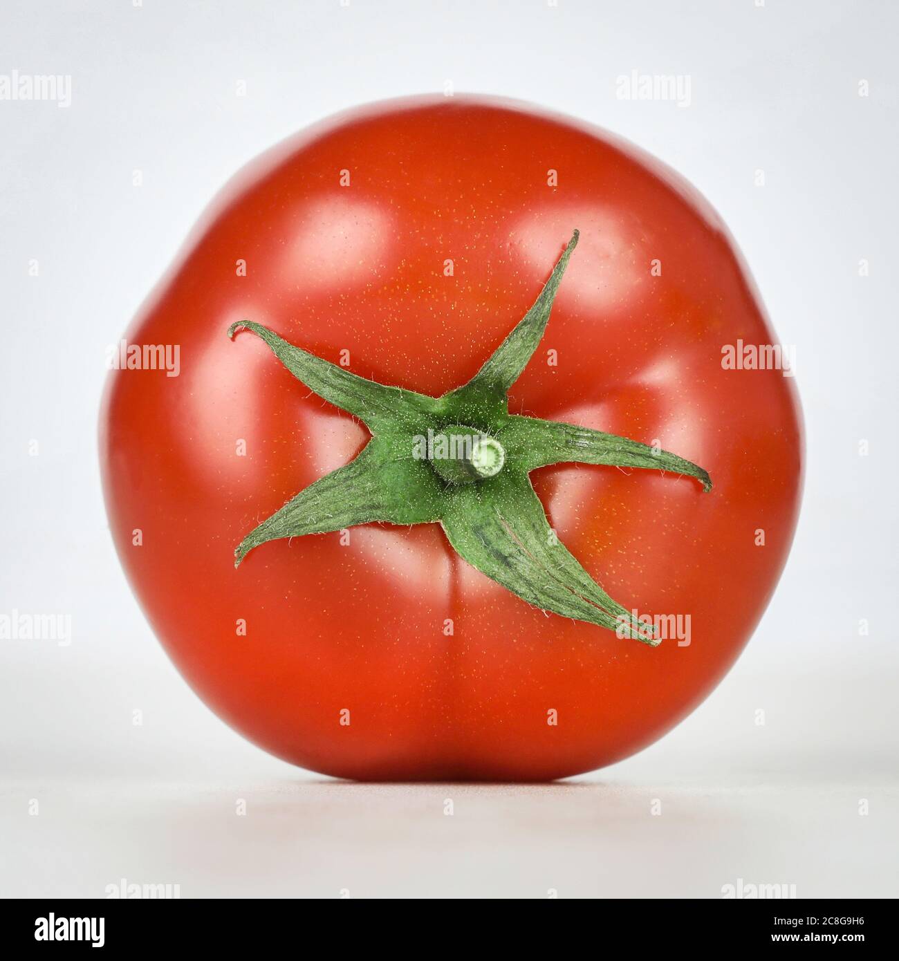 close up tomato isolated on white background Stock Photo - Alamy