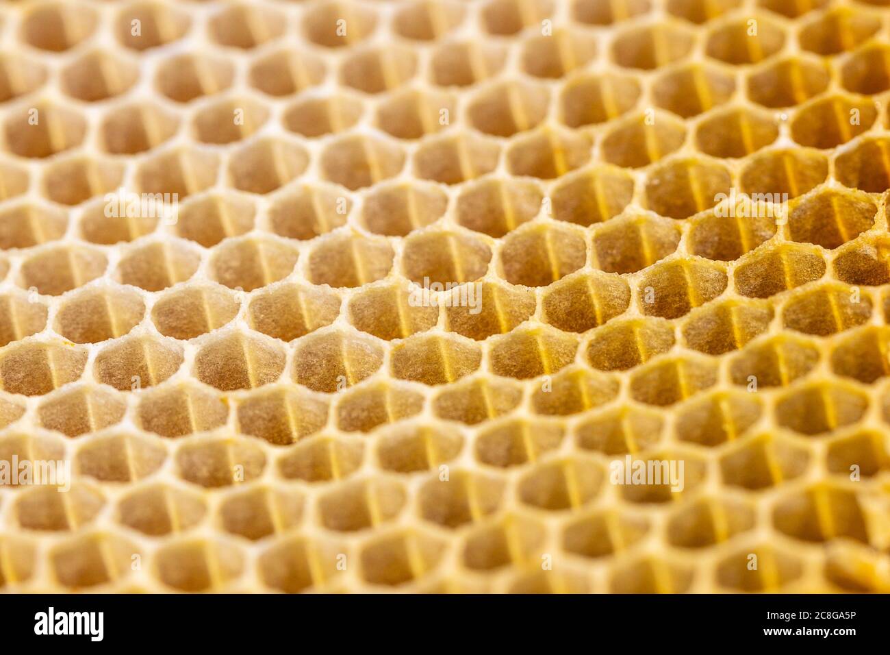 honeycomb seamless pattern background no bee Stock Photo