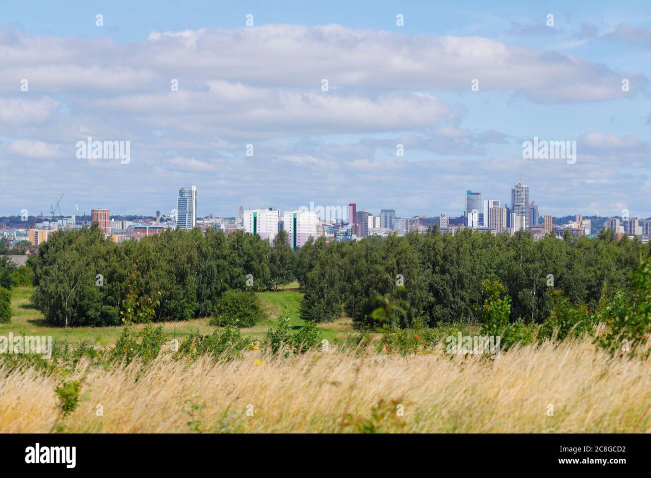 Leeds city skyline with Arena Village Campus student accommodation buildings dominating the skyline. Stock Photo