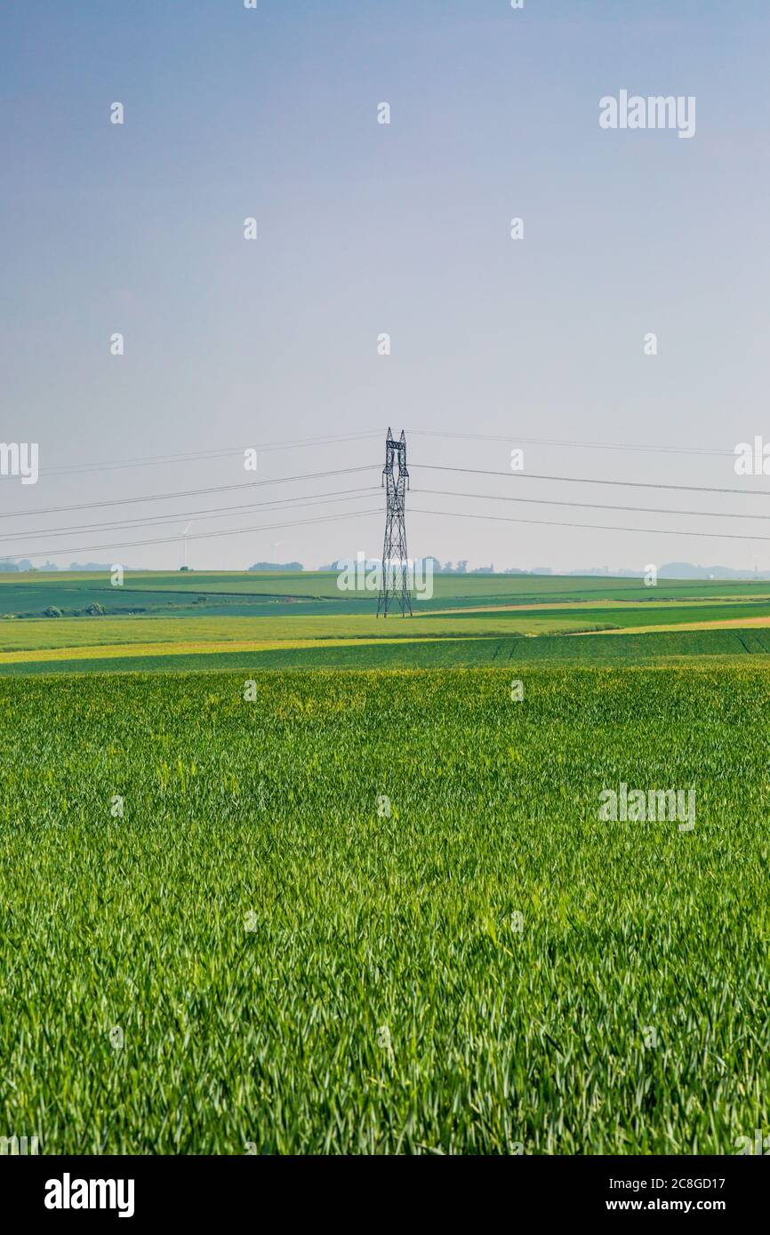 An electricity pylon running through a green French rural landscape ...