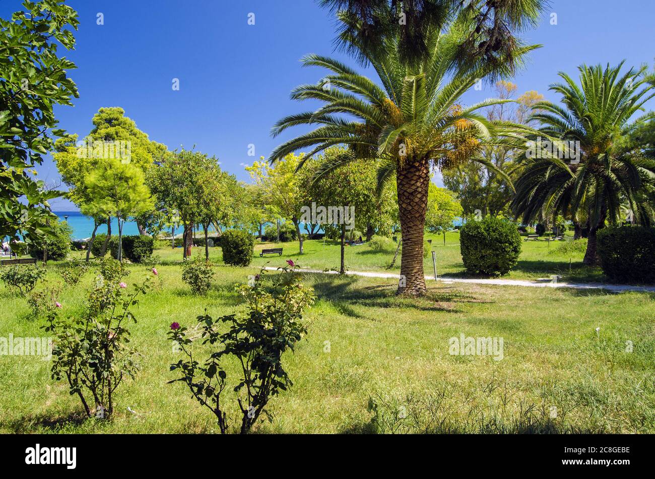 Public park tropical green grass hi-res stock photography and images ...