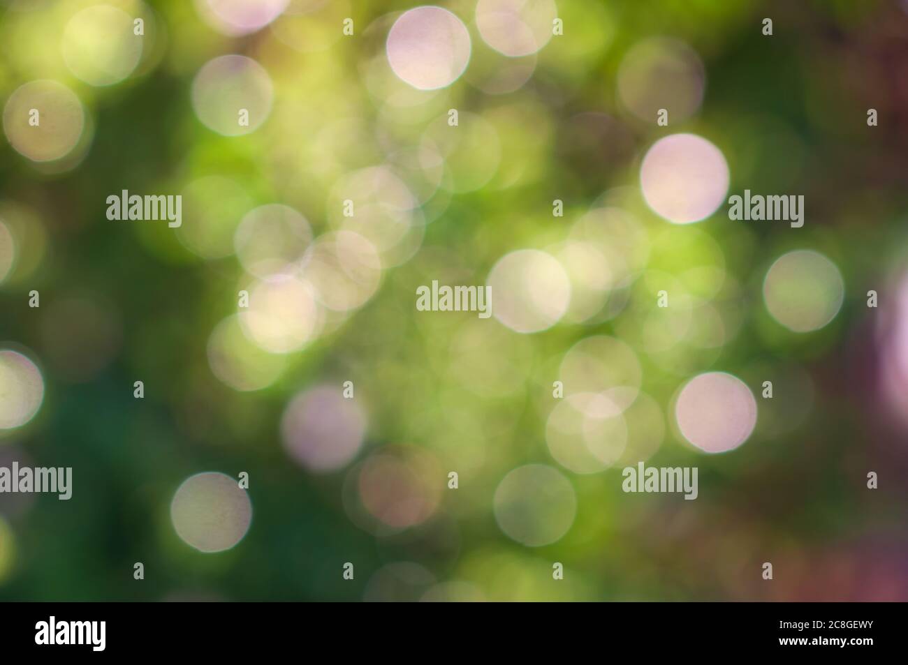 Abstract natural green bokeh background, blurred and defocused, green leaves bokeh out of focus background from nature forest. Green Nature spring and Stock Photo
