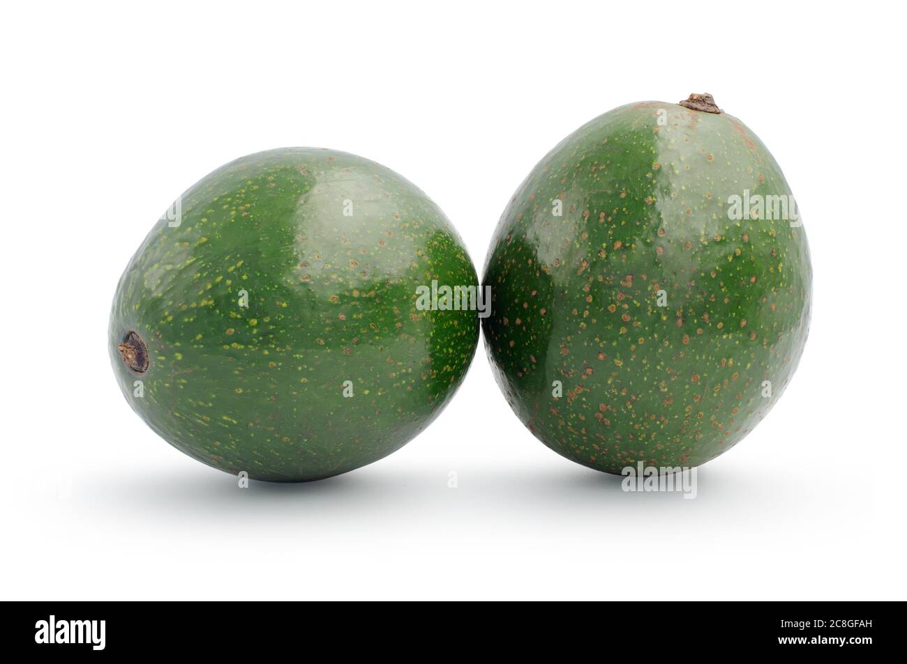 Avocado fruits isolated on white background, clipping path included. Stock Photo