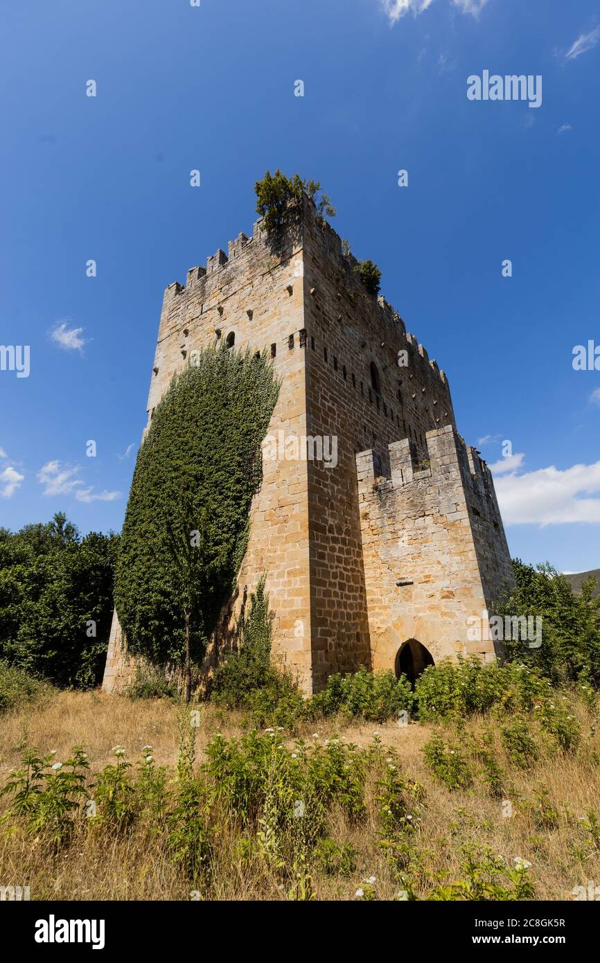 Ruins of Medieval tower of Velasco in Espinosa de los monteros, Stock Photo