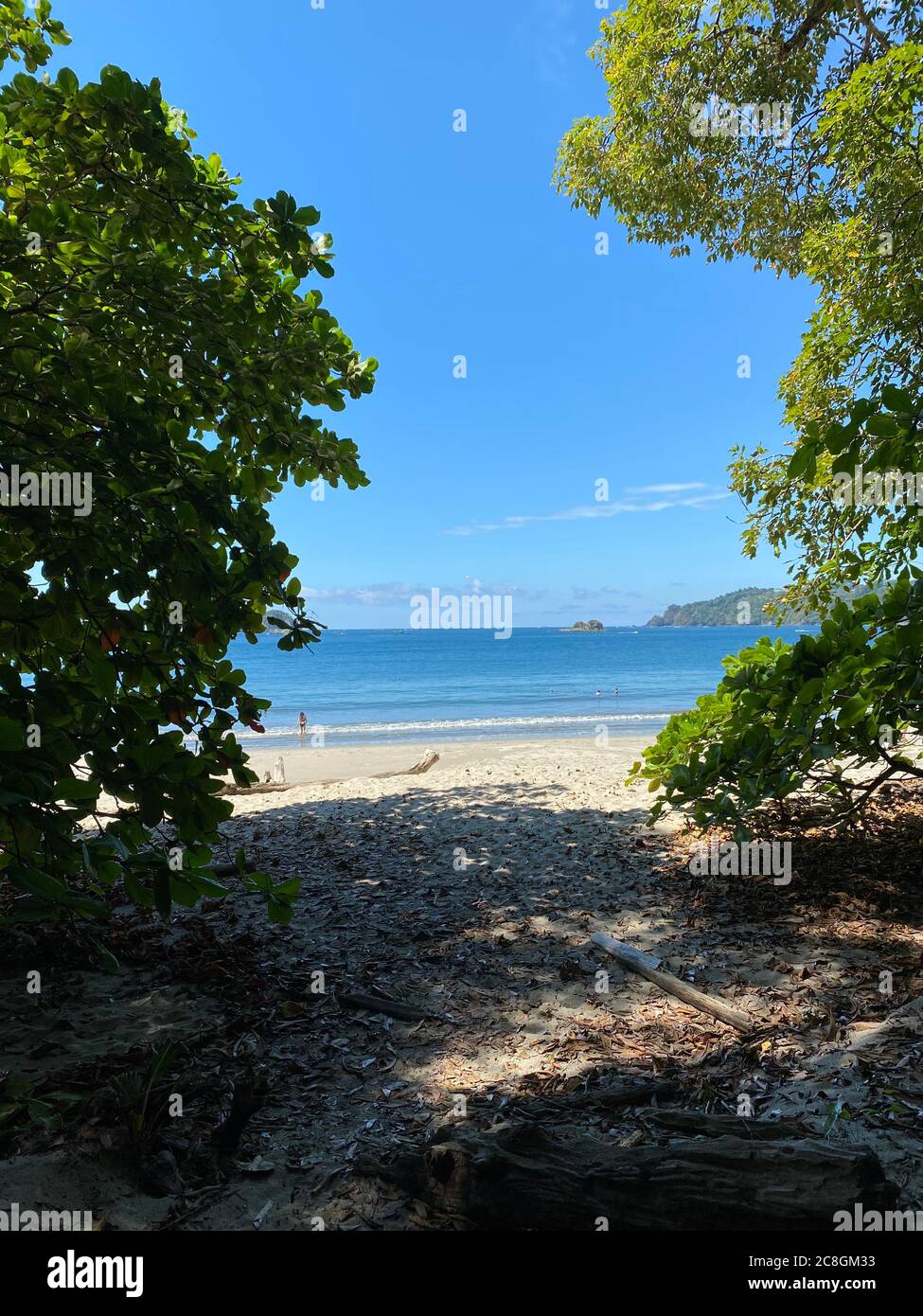 A paradise beach with some trees at the Costa Rican Pacific with fine Stock Photo
