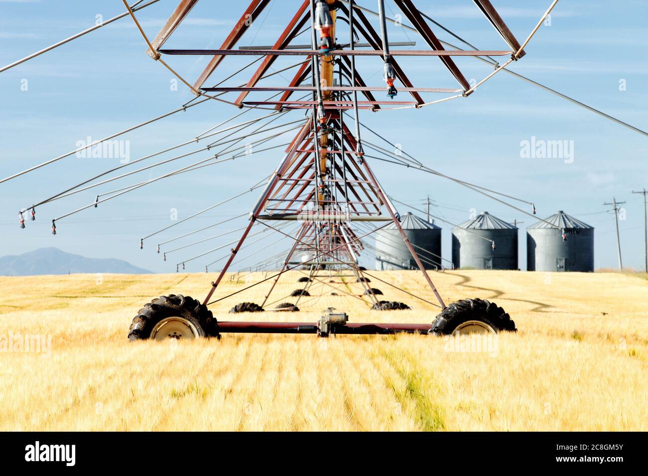A closeup view of a sprinkler system in a ripening wheat field in the fertile farm fields of Idaho. Stock Photo
