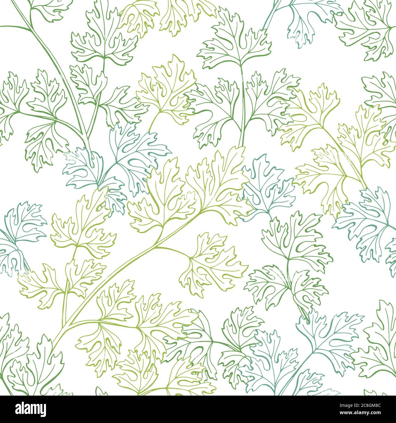 Parsley plant herb graphic green color sketch seamless pattern background illustration vector Stock Vector