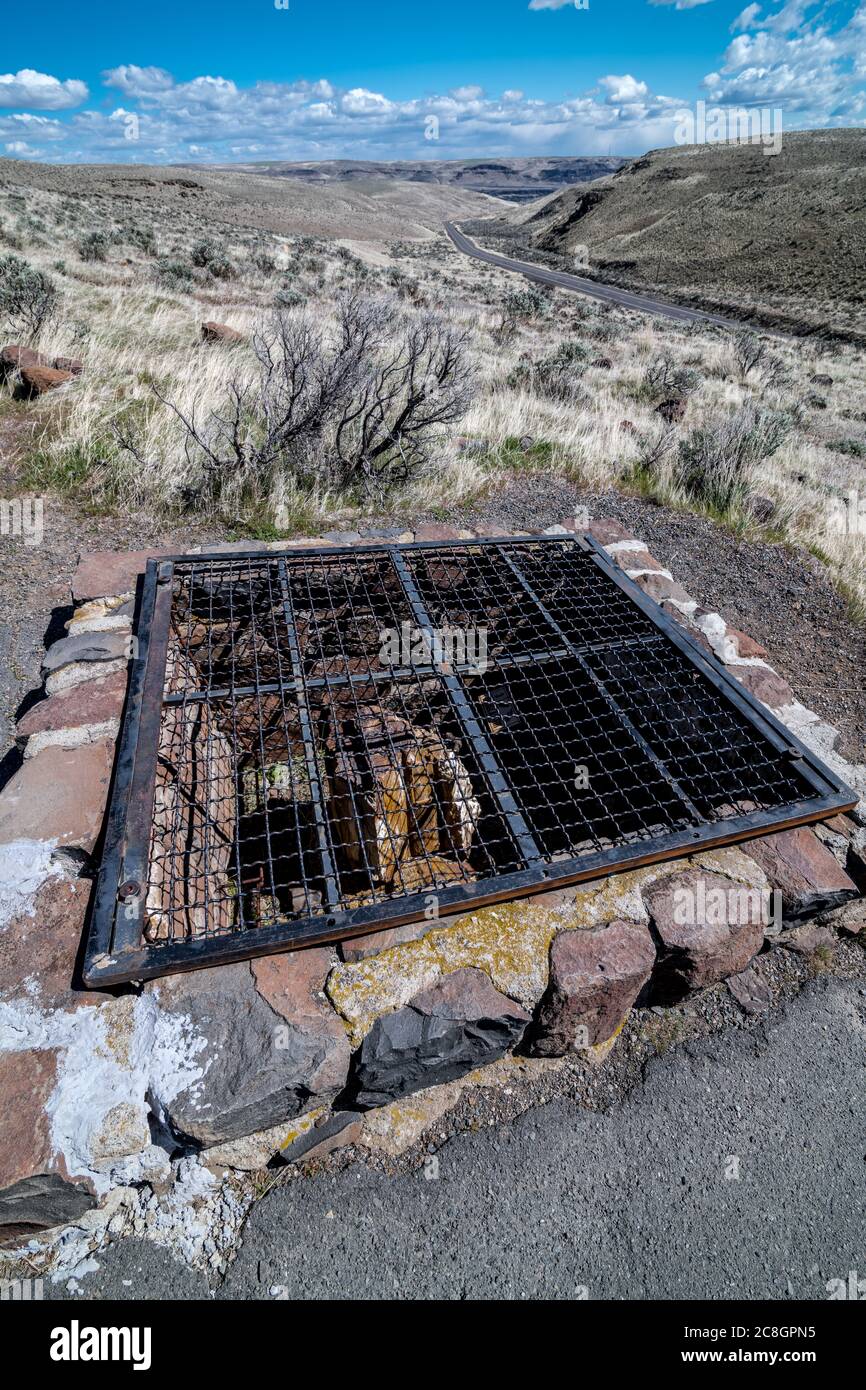 Ginkgo Petrified Forest State Park, WA Stock Photo Alamy