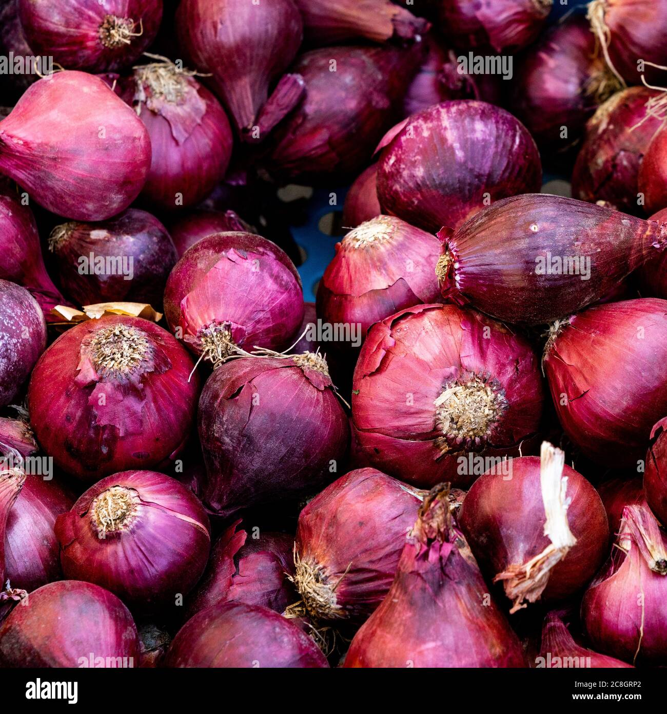 Watery eyes hires stock photography and images Alamy