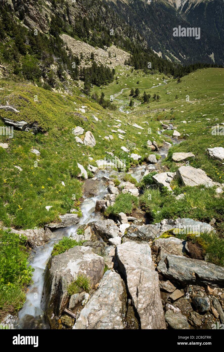 Ter River Rising from Ulldeter in the Catalan Pyrenees Stock Photo
