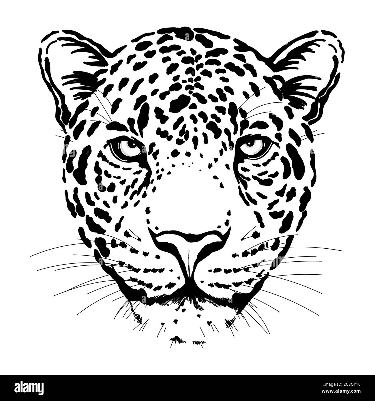 Hand drawn sketch style portrait of leopard isolated on white ...