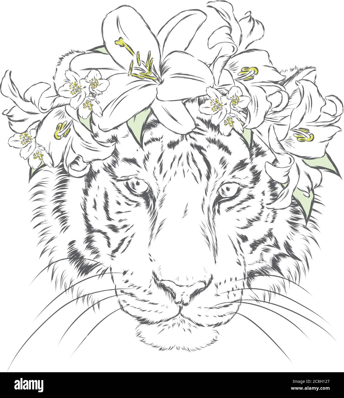 Page 3 Tiger Rose High Resolution Stock Photography And Images Alamy