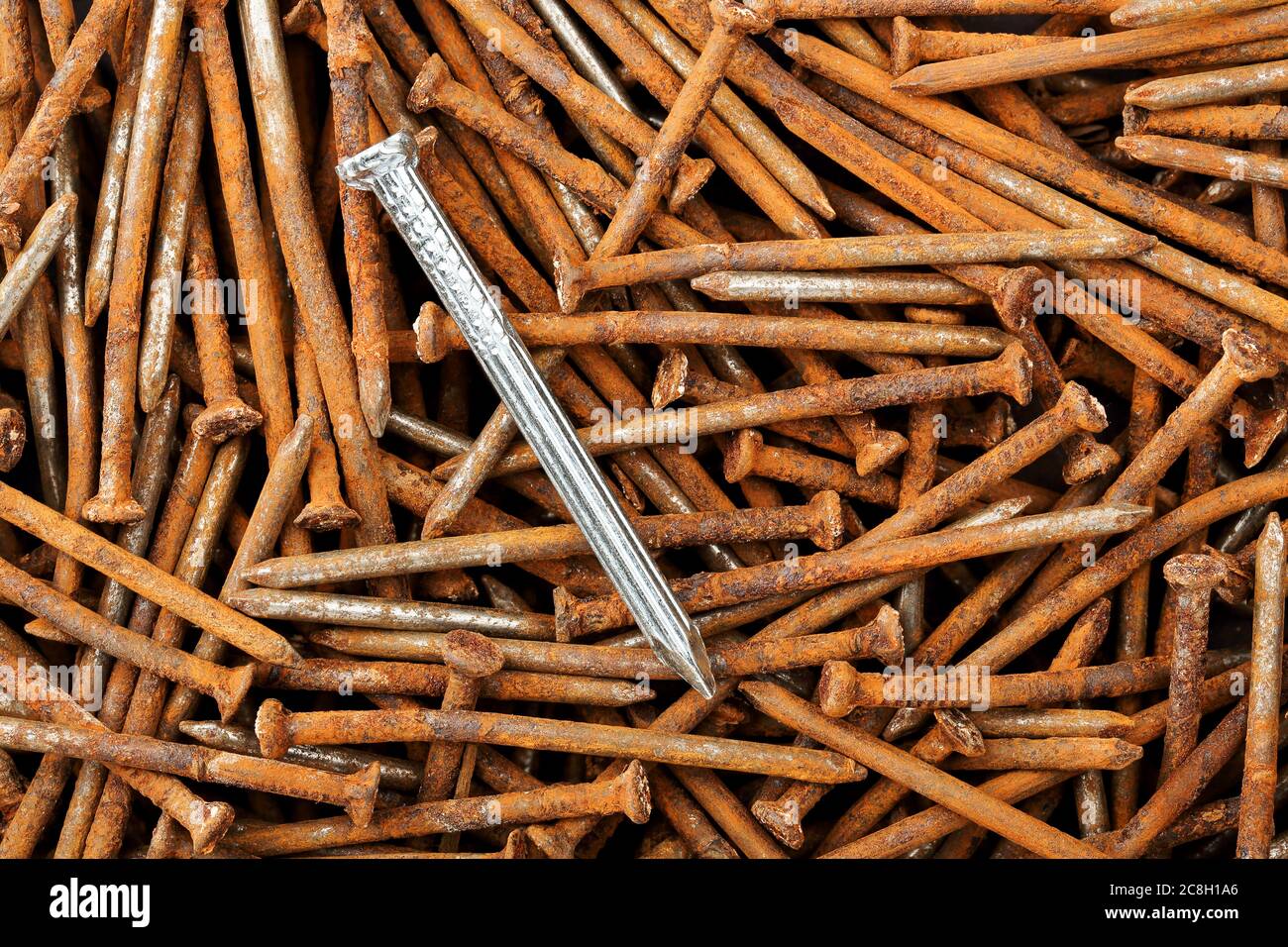 new steel nail on rusty ones, being different or new concept Stock