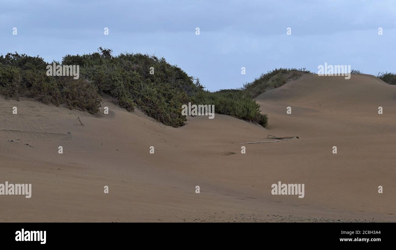 Dunas de Maspalomas - Gran Canaria - Spain - the dunes by storm - unruly sea Stock Photo