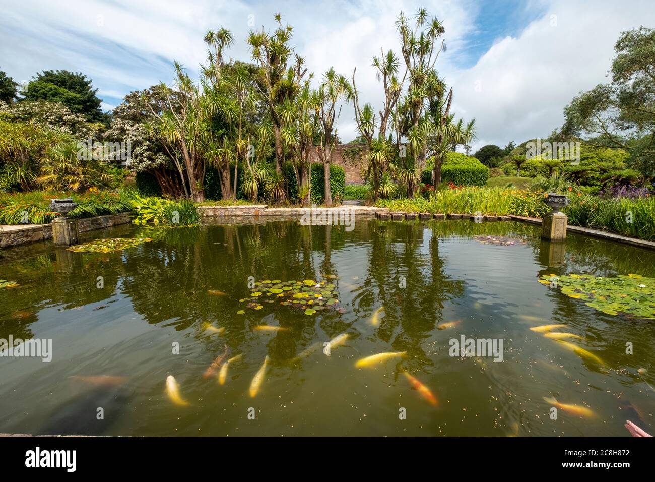 Logan Botanic gardens, Rhins of Galloway, Scotland, UK Stock Photo