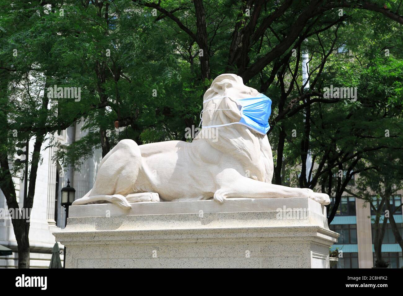 Patience, and Fortitude the marble lion statues that guard the New York Public Library's main branch, the Stephen A. Schwarzman building on 5th Avenue and 42nd Street, wear blue face masks to set an example for New Yorkers during the coronavirus, Covid-19 pandemic, Midtown Manhattan, New York City, USA July 2020 Stock Photo