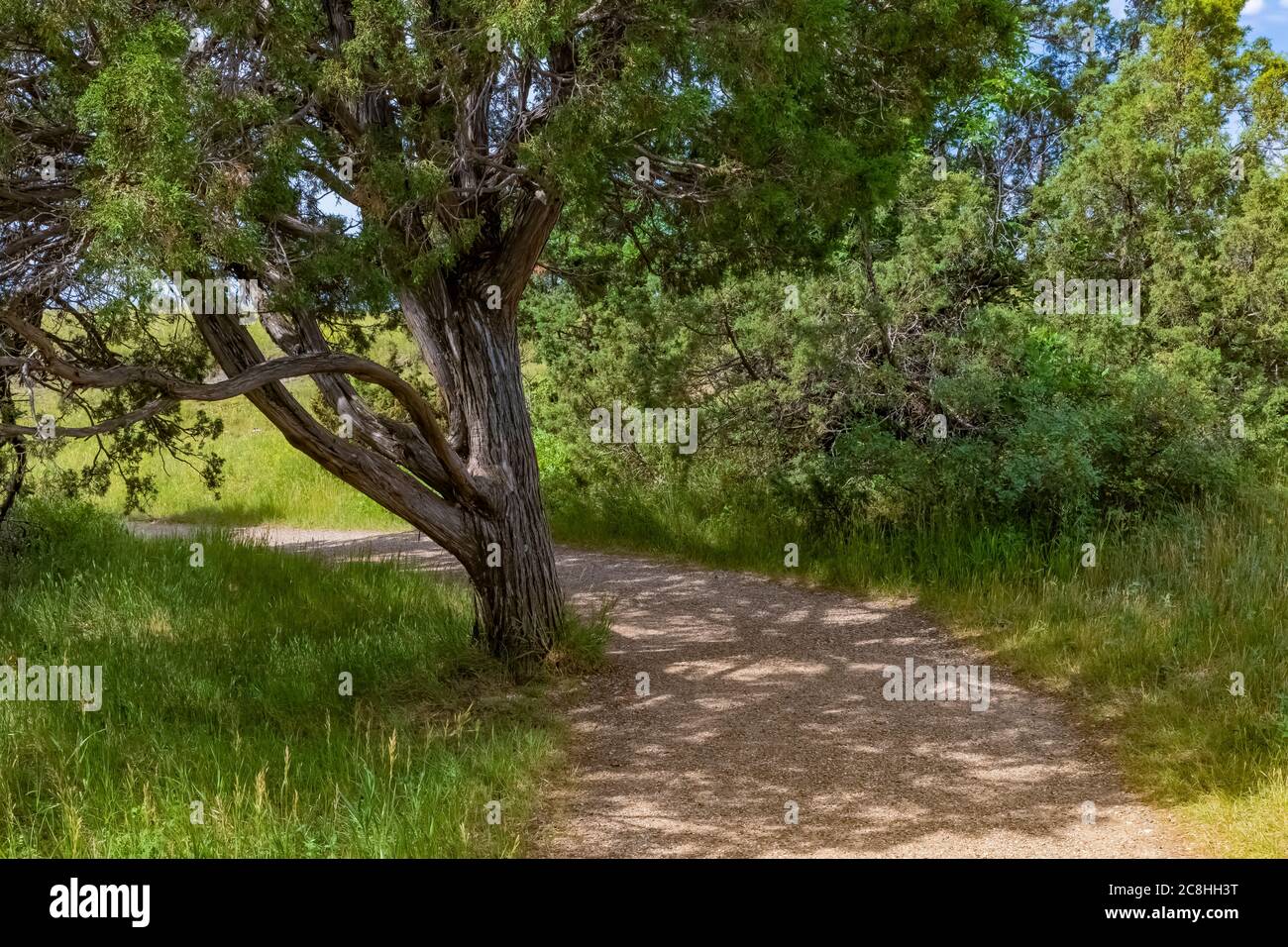 Path to River Bend Overlook, built by the CCC in the 1930s, in Theodore Roosevelt National Park, North Unit, in North Dakota, USA Stock Photo