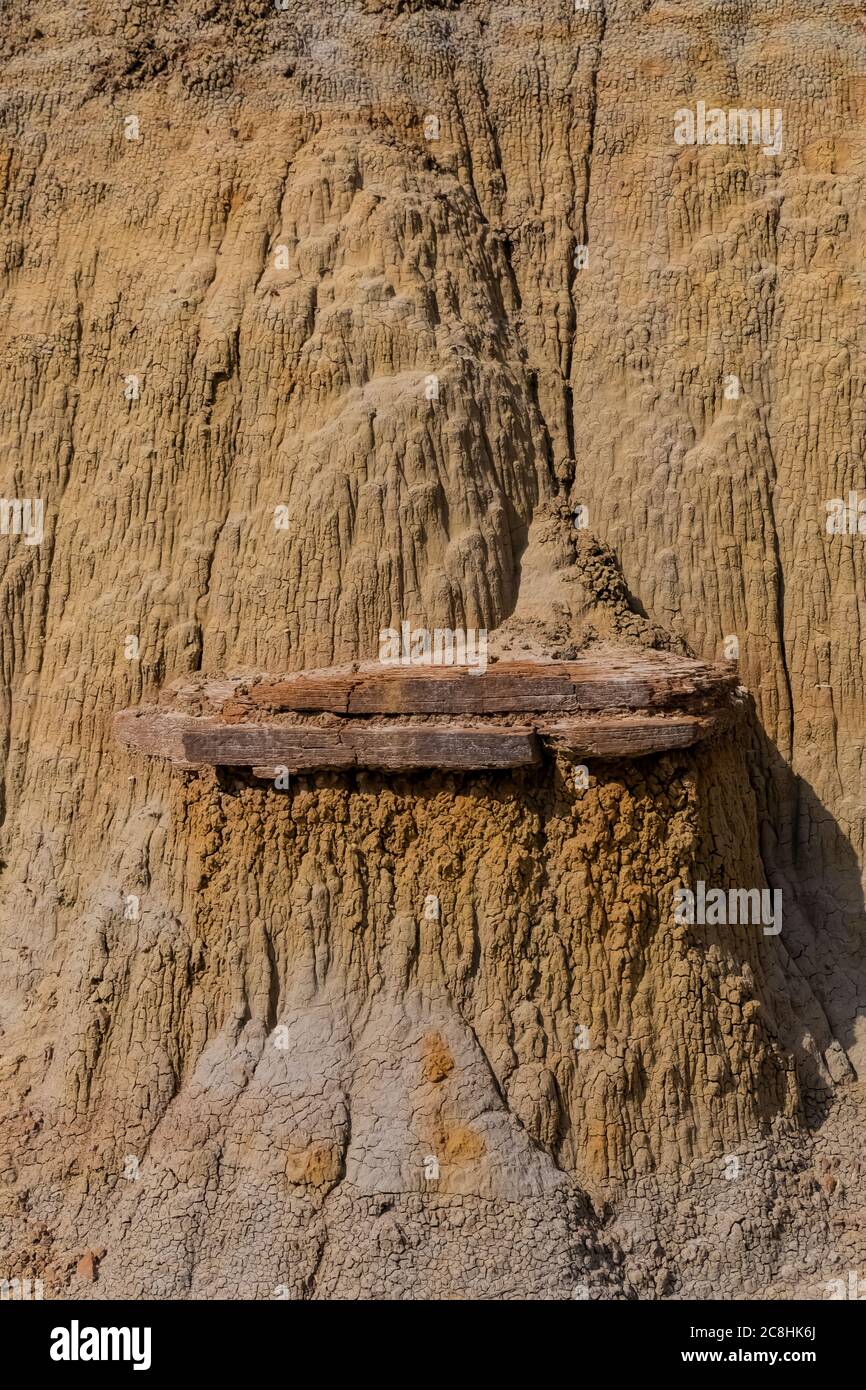 Differential erosion with hard rock shelf and soft sediments along Caprock Coulee Nature Trail in Theodore Roosevelt National Park, North Unit, North Stock Photo