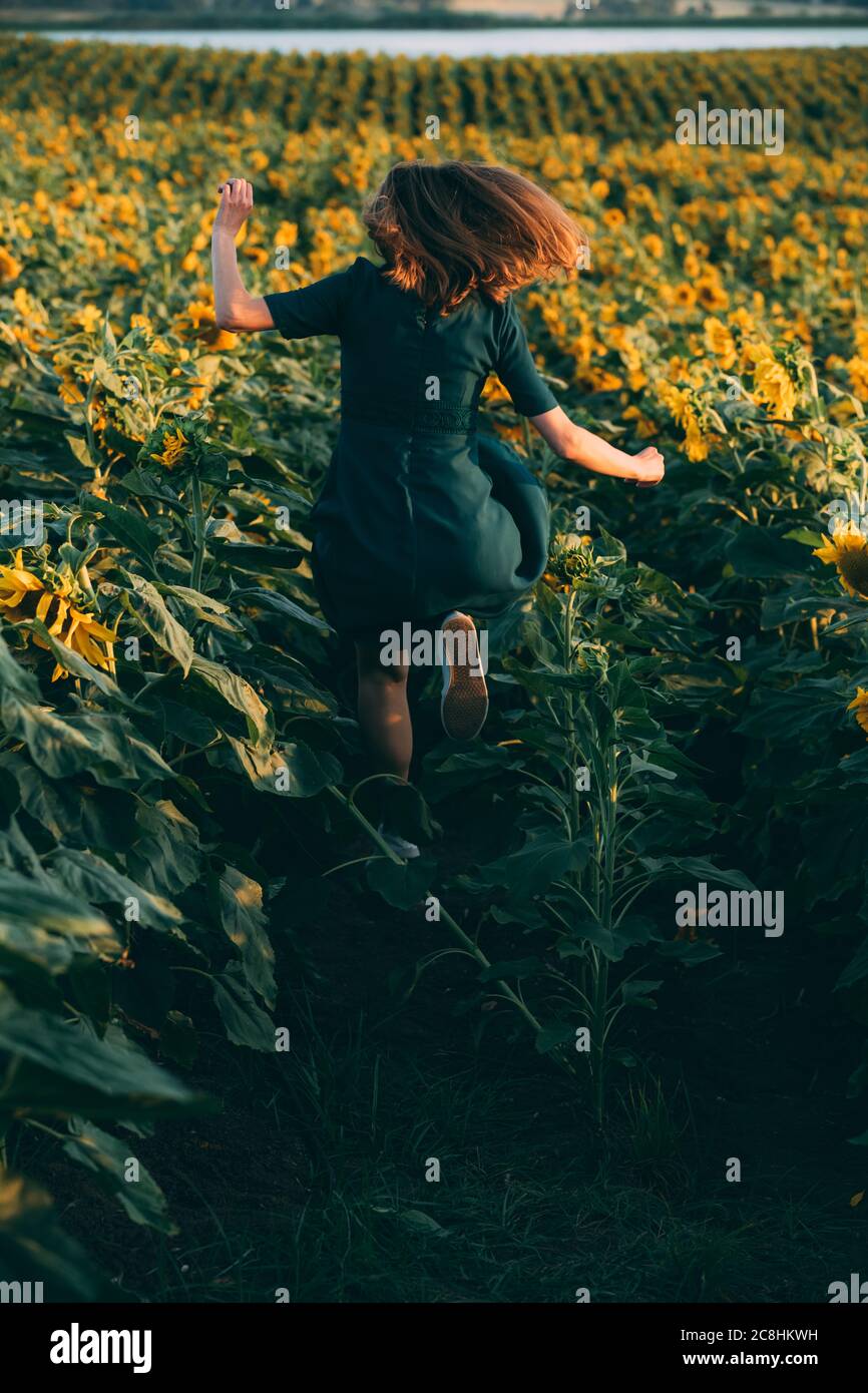 Girl in green dress jumping on a field of sunflowers from back. The concept of summer and sun. Sunflower season in Israel. Celebrating life. Moment en Stock Photo - Alamy Girl in green dress jumping on a field of sunflowers from back. The concept of summer and sun. Sunflower season in Israel. Celebrating life. Moment en Stock Photo - Alamy