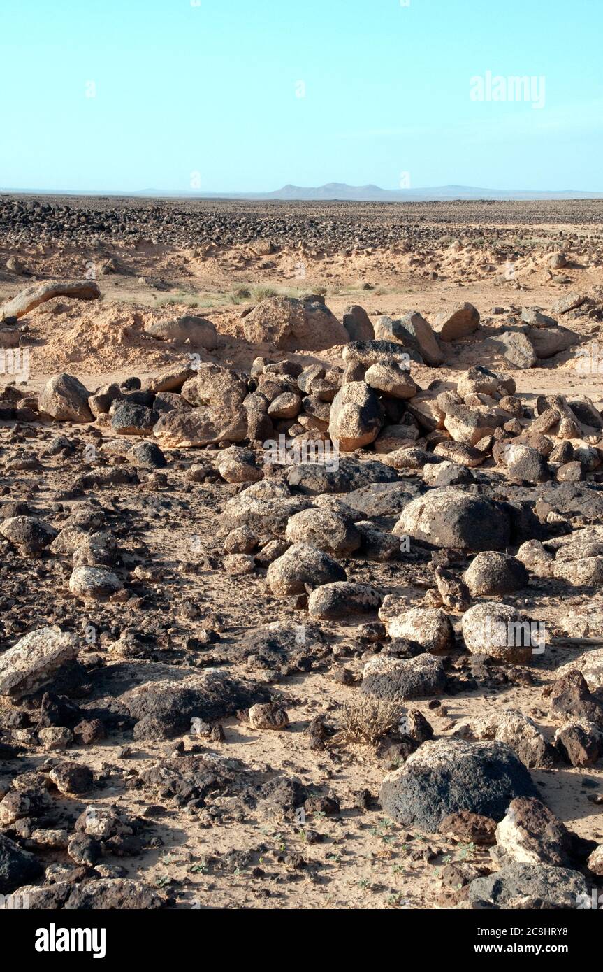 Basalt stones and rocks from ancient volcanoes cover the eastern desert, or 'black desert,' in the Badia region of the Hashemite Kingdom of Jordan. Stock Photo