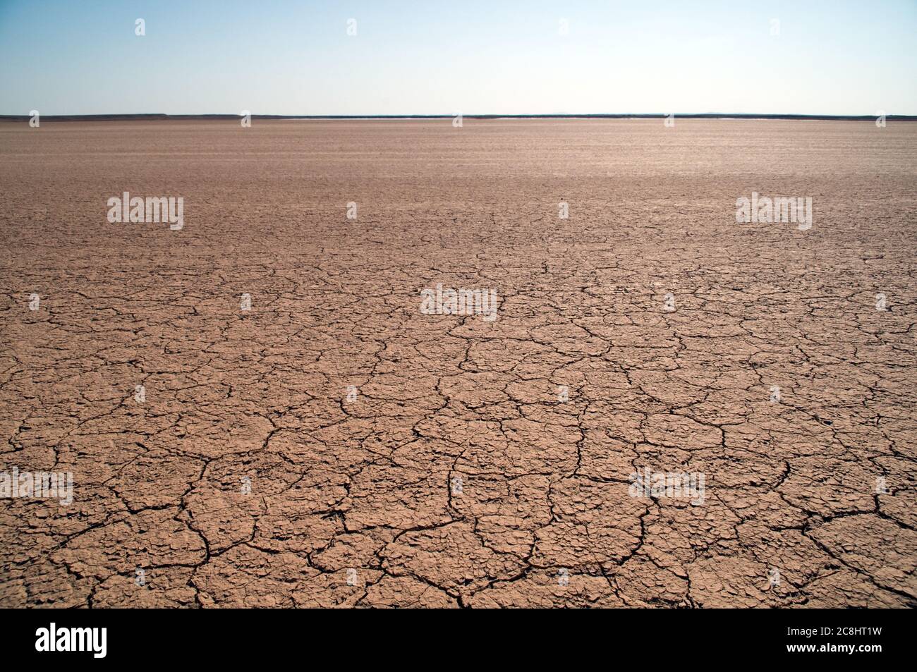 Dry, parched and cracked mud patterns after a rainfall in the eastern desert of the Badia region of the Hashemite Kingdom of Jordan. Stock Photo