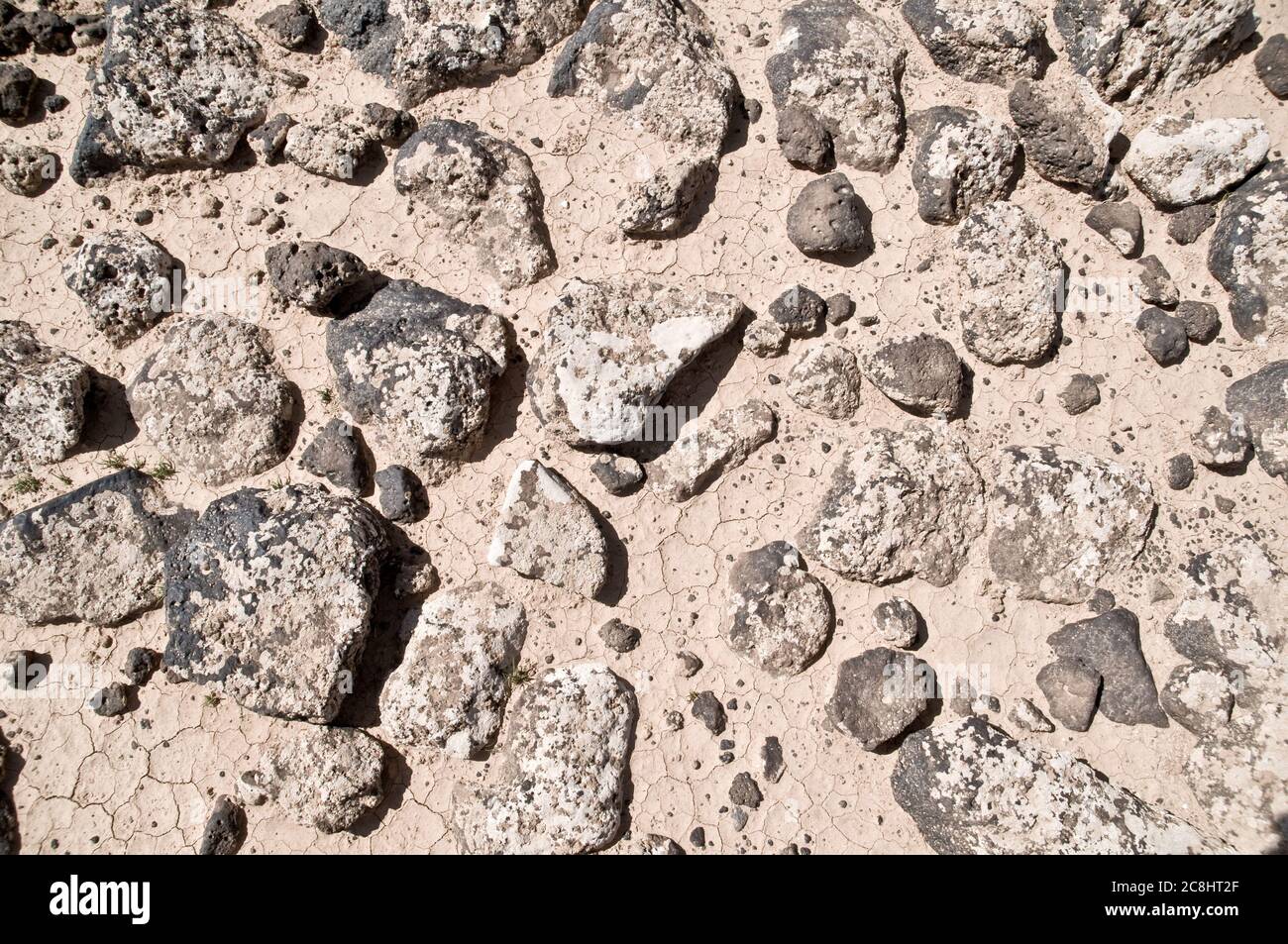 Basalt stones and rocks from ancient volcanoes cover the eastern desert, or 'black desert,' in the Badia region of the Hashemite Kingdom of Jordan. Stock Photo