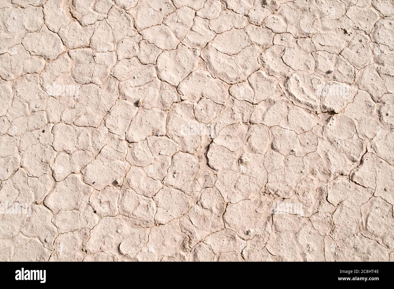Dry, parched and cracked white mud patterns in the eastern desert of the Badia region, Wadi Dahek, Hashemite Kingdom of Jordan. Stock Photo