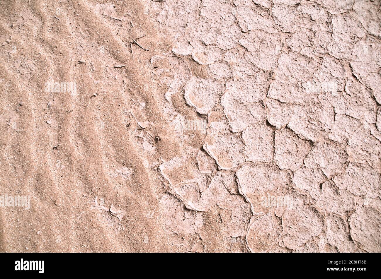 Dry, parched and cracked white mud patterns in the eastern desert of the Badia region, Wadi Dahek, Hashemite Kingdom of Jordan. Stock Photo
