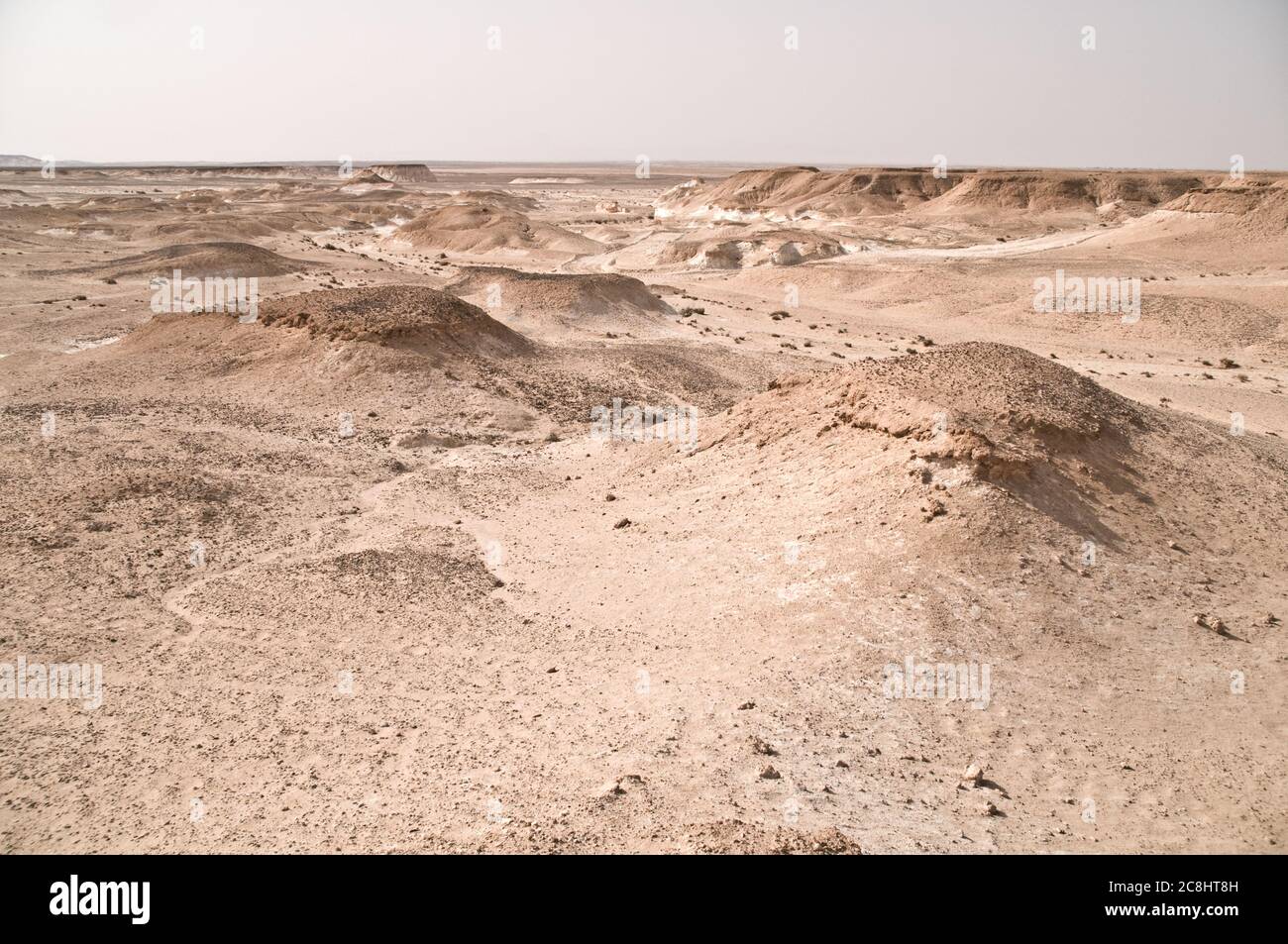 An arid, hilly and desolate plateau in the eastern desert of the Badia region, Wadi Dahek, Hashemite Kingdom of Jordan. Stock Photo