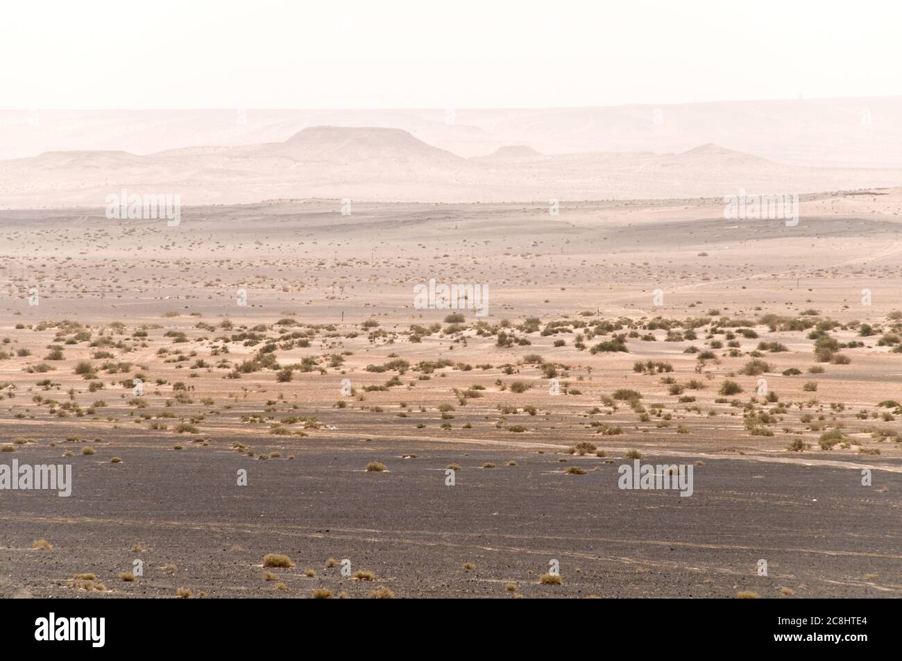 The Badia region of the desolate Jordanian eastern desert long the border of Saudi Arabia, near al-Omari, Jordan. Stock Photo