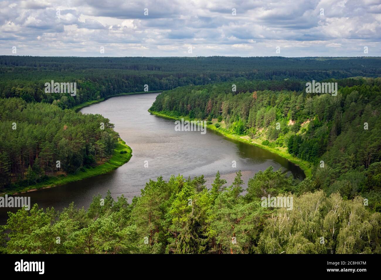 Aerial view of beautiful river Nemunas surrounded by pine forest in Lithuania. Birdseye view of nature scene on a sunny day. Stock Photo