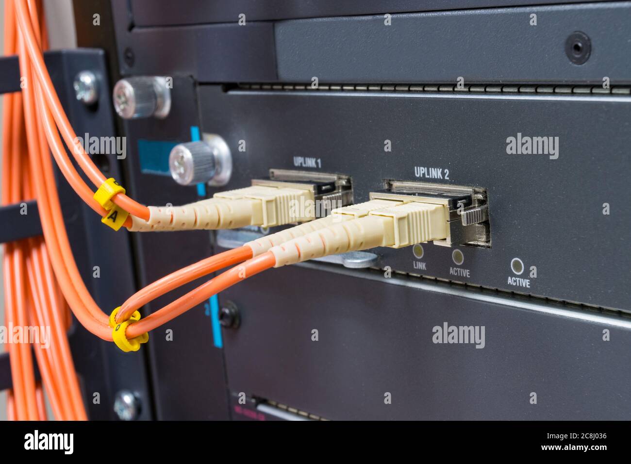 cable network, fiber optic cable connect to switch port in server room ,Concept network