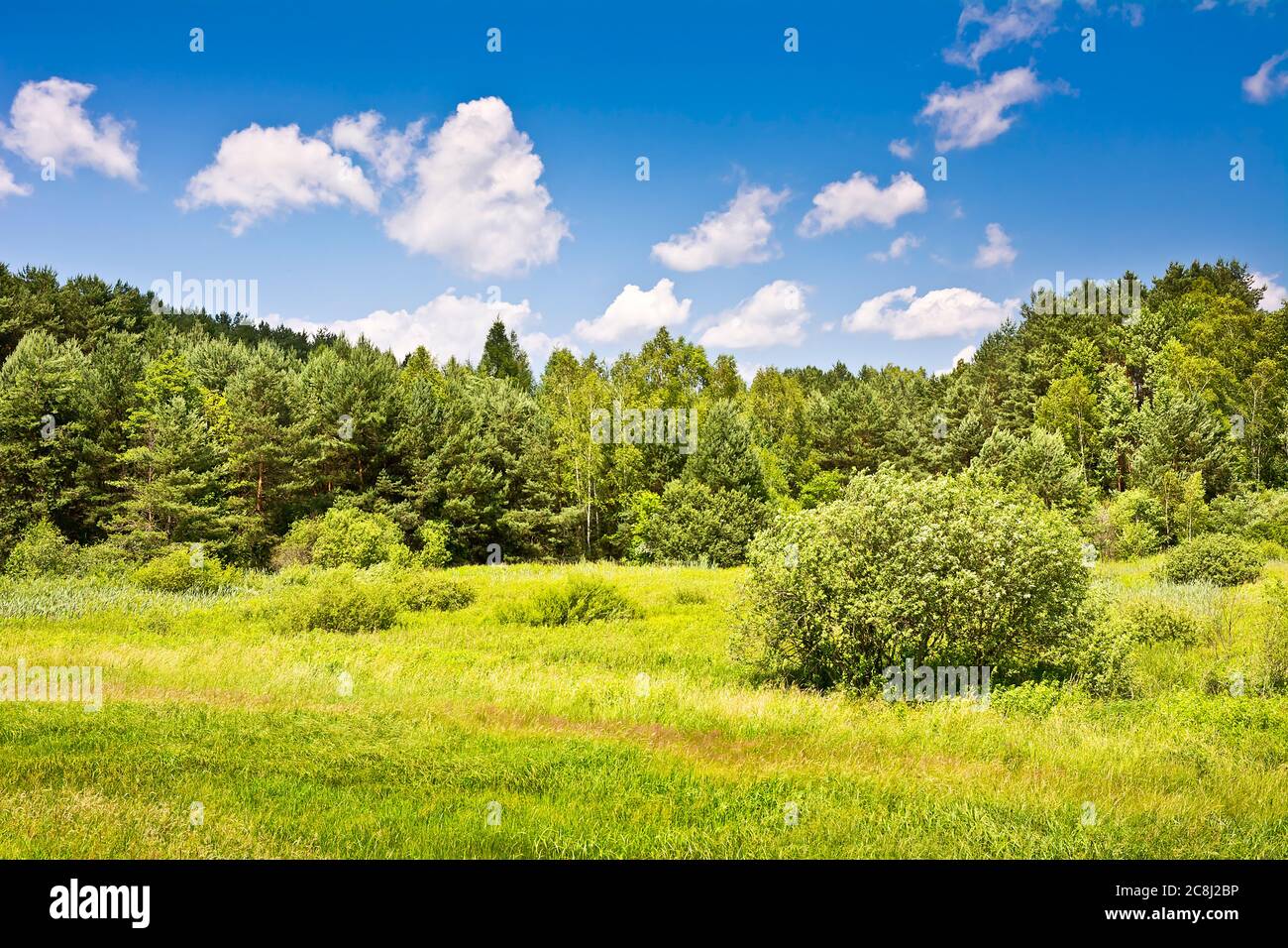 Blue sky summer meadow trees hi-res stock photography and images - Alamy
