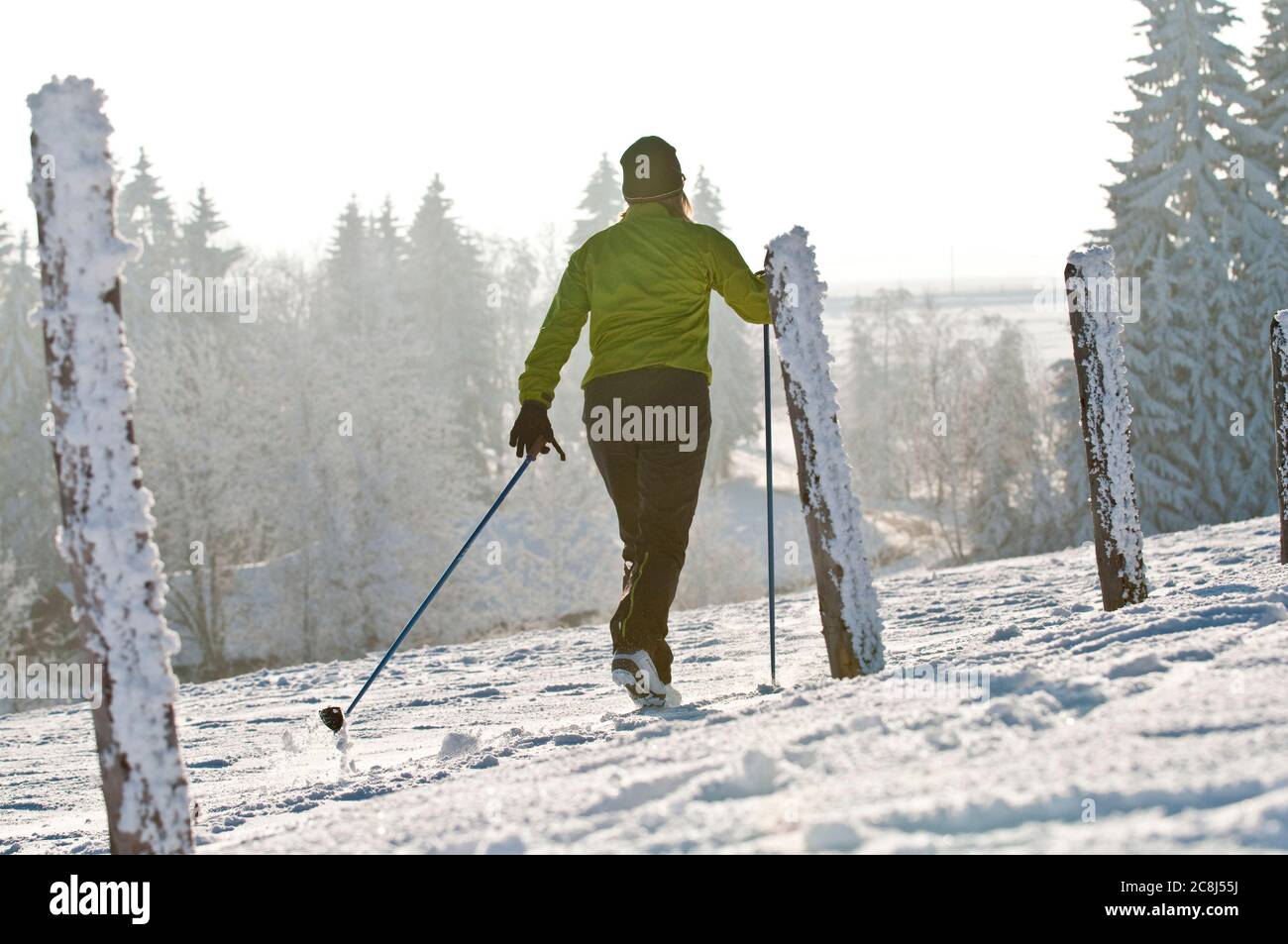 Young woman on the way with nordic cruising skis in wintry nature Stock Photo