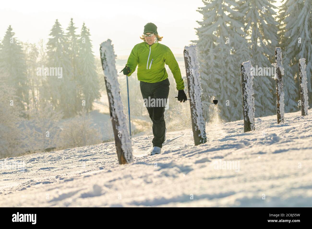 Young woman on the way with nordic cruising skis in wintry nature Stock Photo