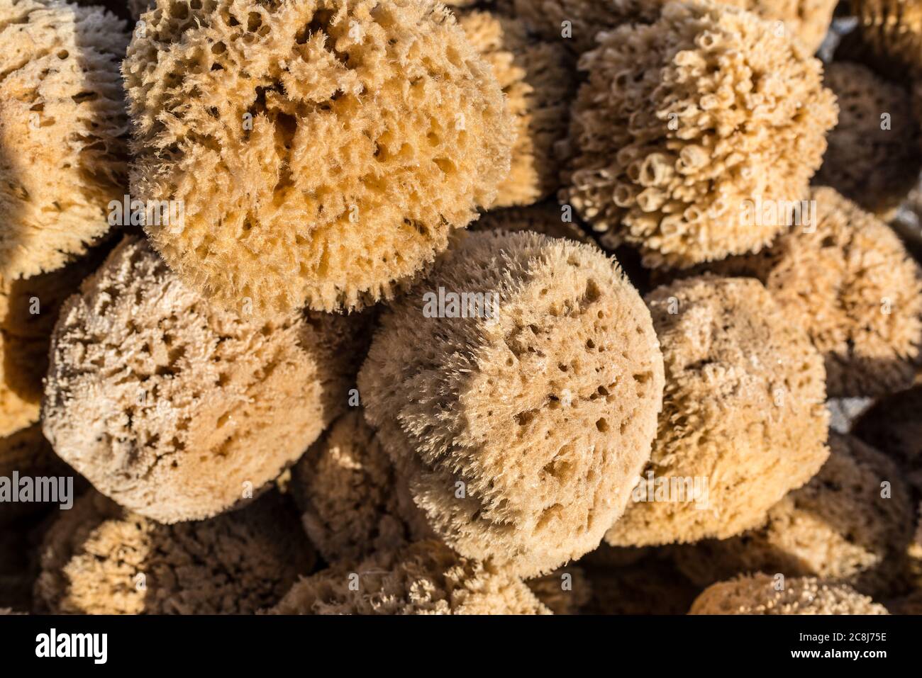 Dead sea sponges hi-res stock photography and images - Alamy