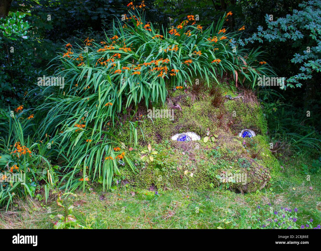 The giant of the Lost Gardens of Heligan. Stock Photo