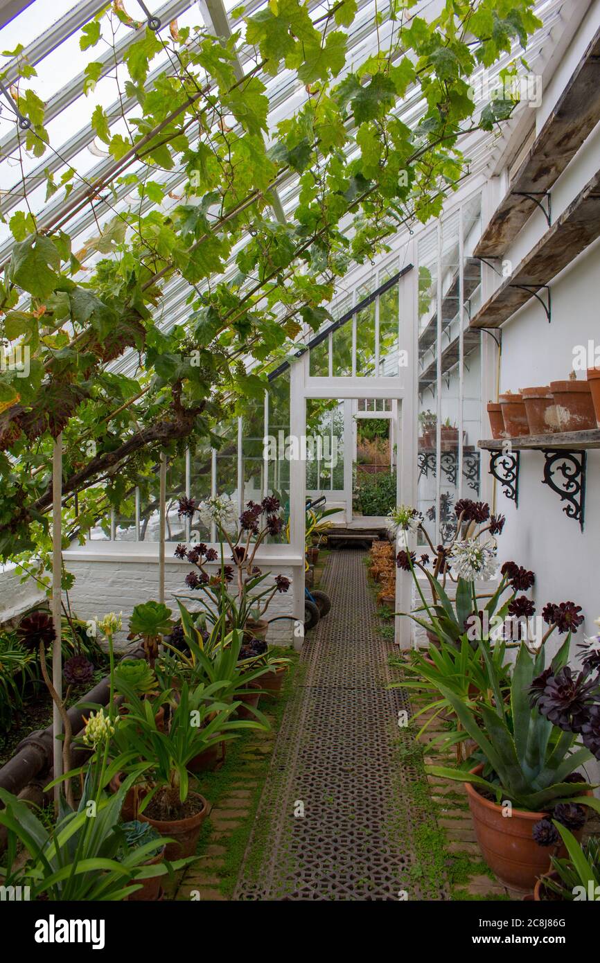 One of the greenhouses of the Lost Gardens of Heligan. Stock Photo