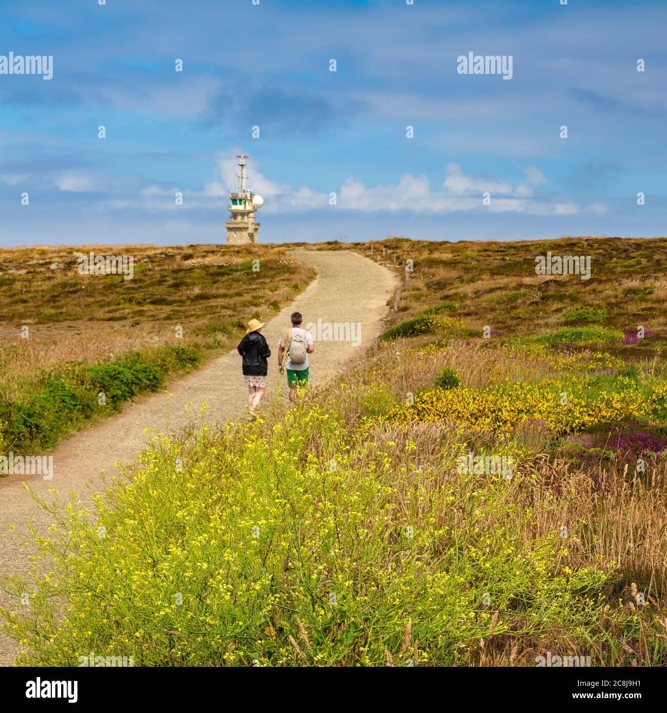 POINTE DU RAZ, BRITTANY, FRANCE - JUNE 2015: Path on the tip of Cape Raz, where the bushes are flowering. Stock Photo
