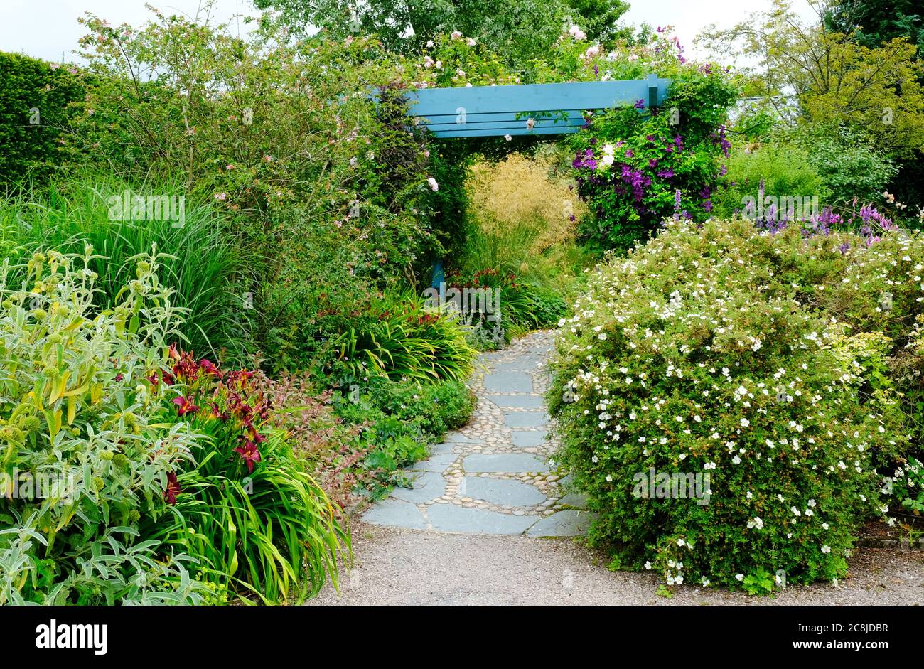 Lush English summer garden border - John Gollop Stock Photo