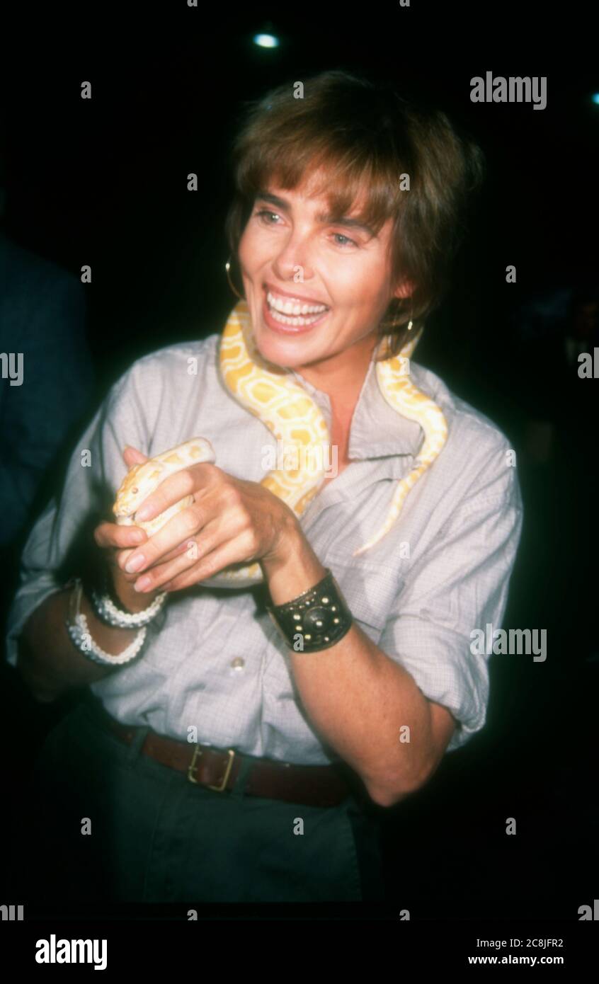 Las Vegas, Nevada, USA 23rd January 1996 Actress/model Margaux Hemingway attends VSDA Convention on January 23, 1996 as Las Vegas Convention Center in Las Vegas, Nevada, USA. Photo by Barry King/Alamy Stock Photo Stock Photo