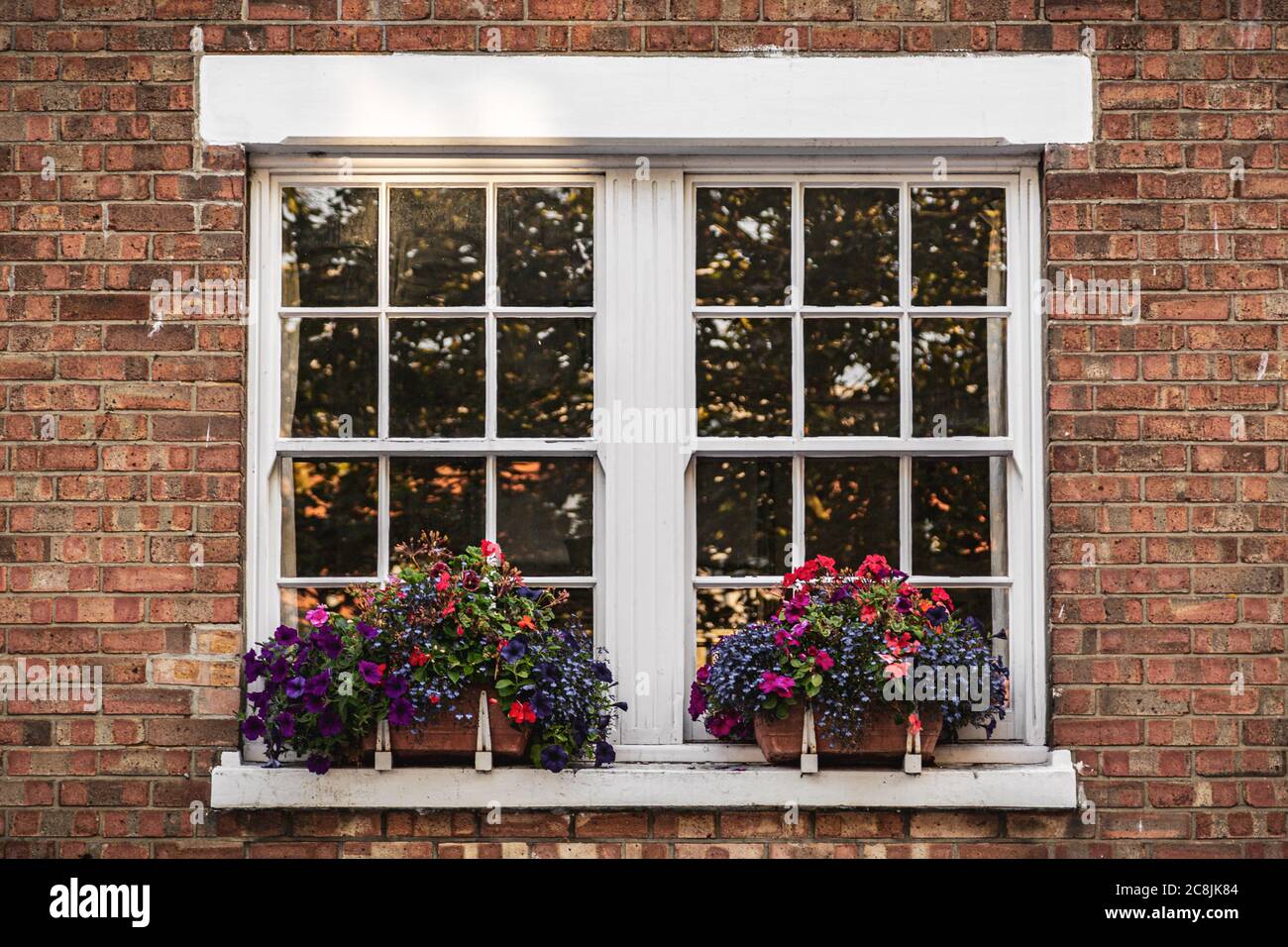 The windows of a Victorian house with window boxes and bright flowers Stock Photo