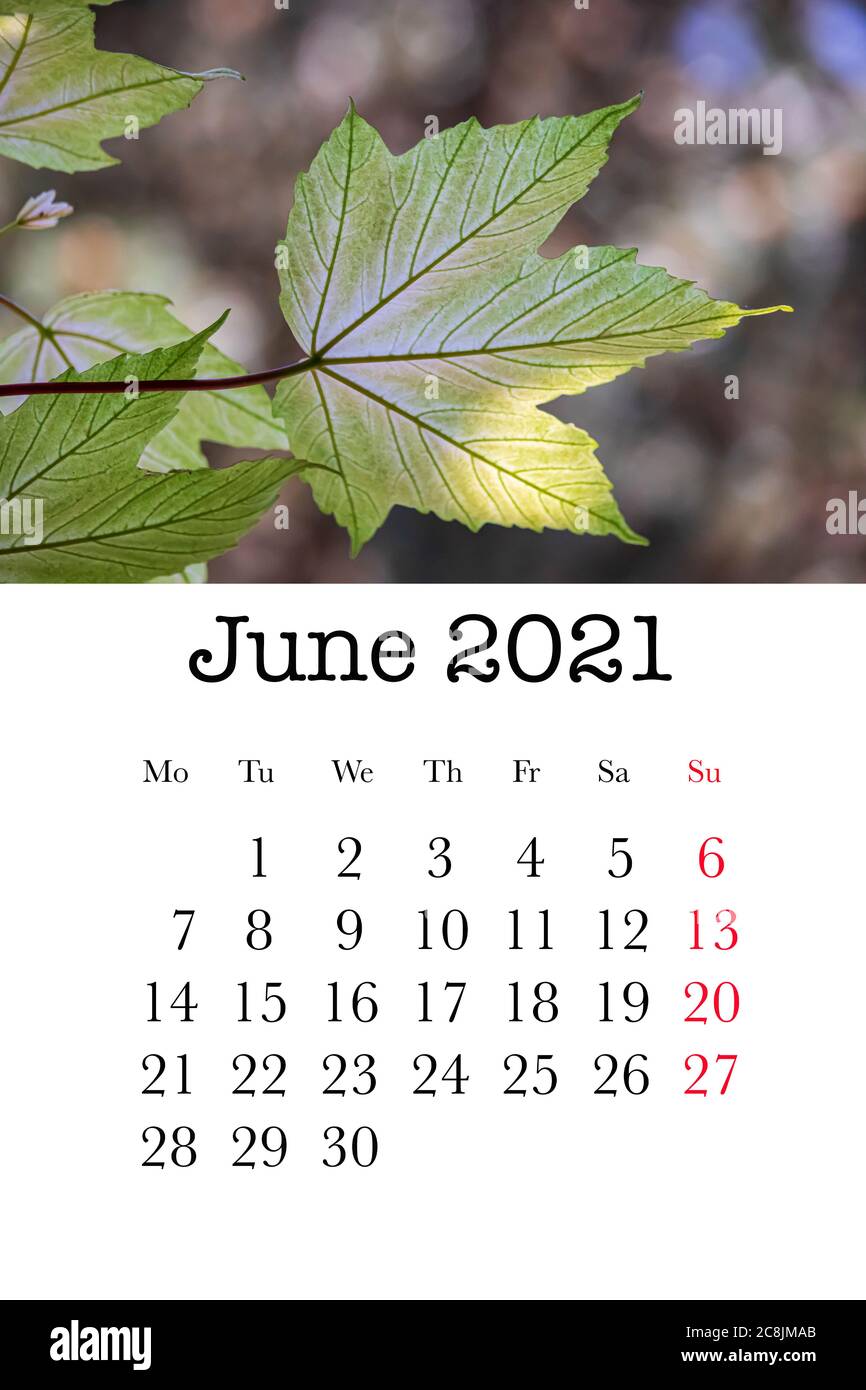 Calendar Card For The Month Of June 2021 Stock Photo Alamy calendar-card-for-the-month-of-june-2021-stock-photo-alamy